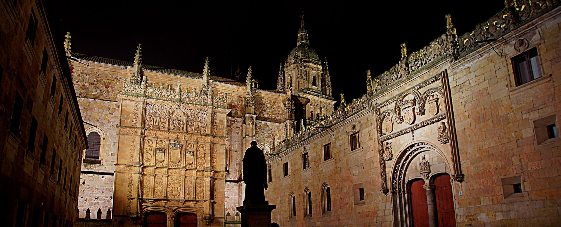 Gracias por su participación