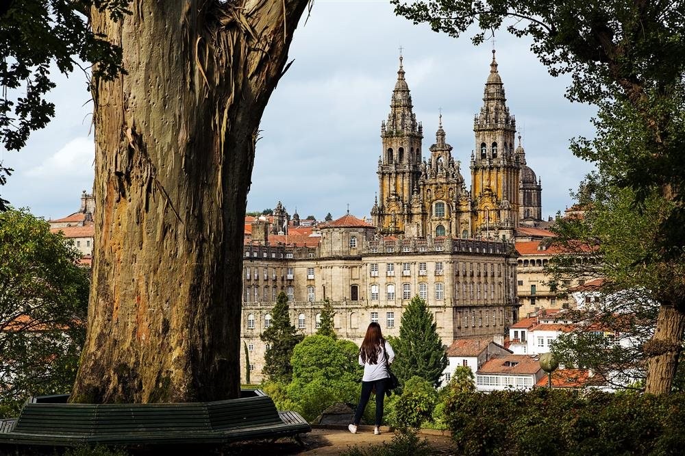 VIII Congreso de La SEMYR: Santiago 2020